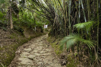 Brésil, Etat de Rio de Janeiro, Paraty, ancienne route de l'or (Estrada Real)