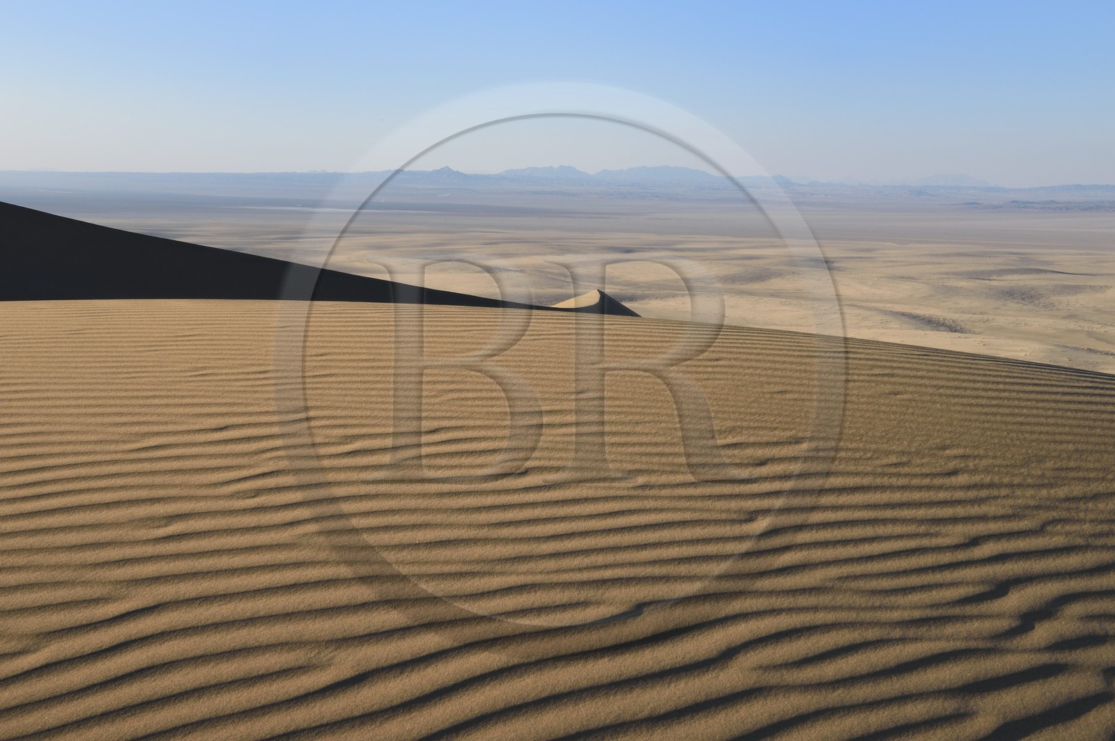 Iran, Province de Yazd, désert du Dasht-e Kavir, Moghestan, massif dunaire dont la plus haute dune atteint les 200 mètres