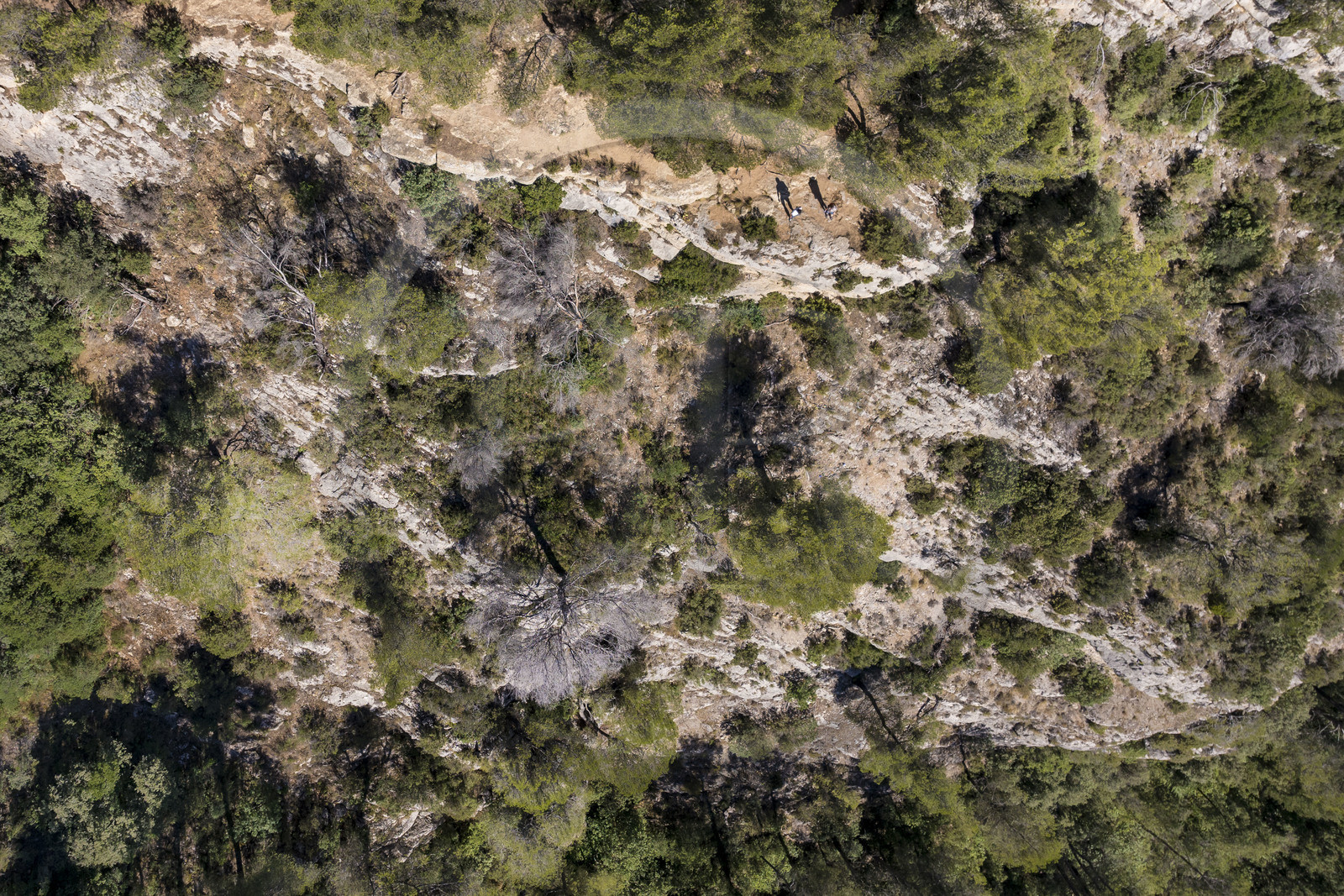 France, Bouches-du-Rhône (13), Aix en Provence, plateau de Bibemus,