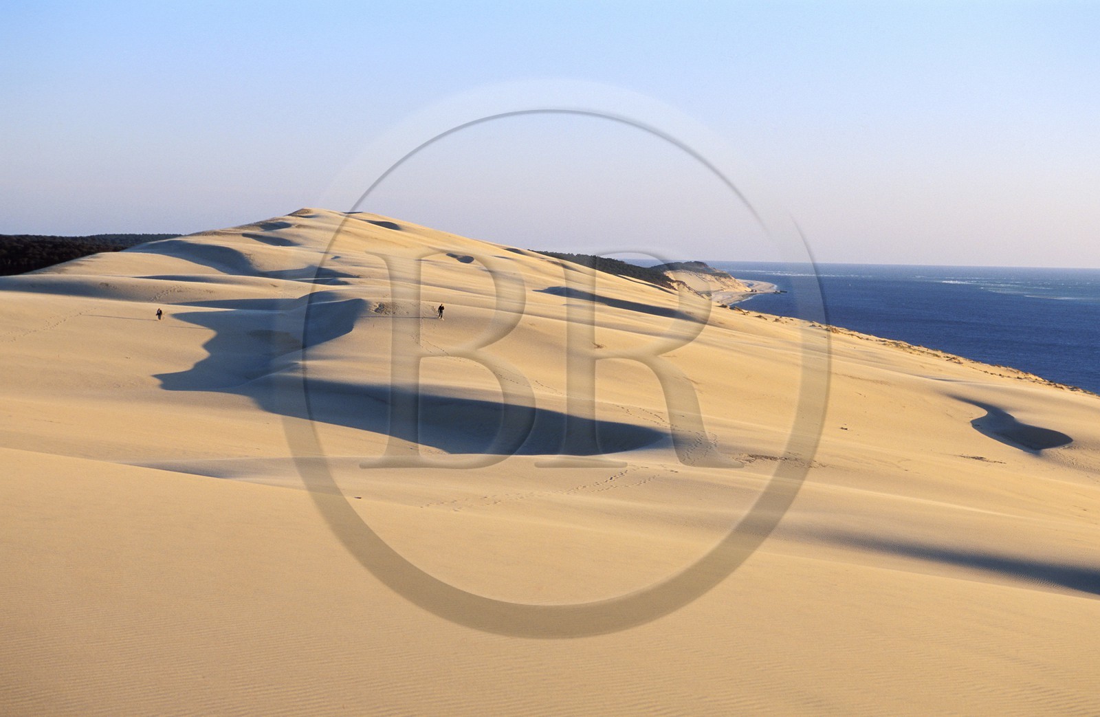France, Gironde, Arcachon Basin, top of Pilat dune