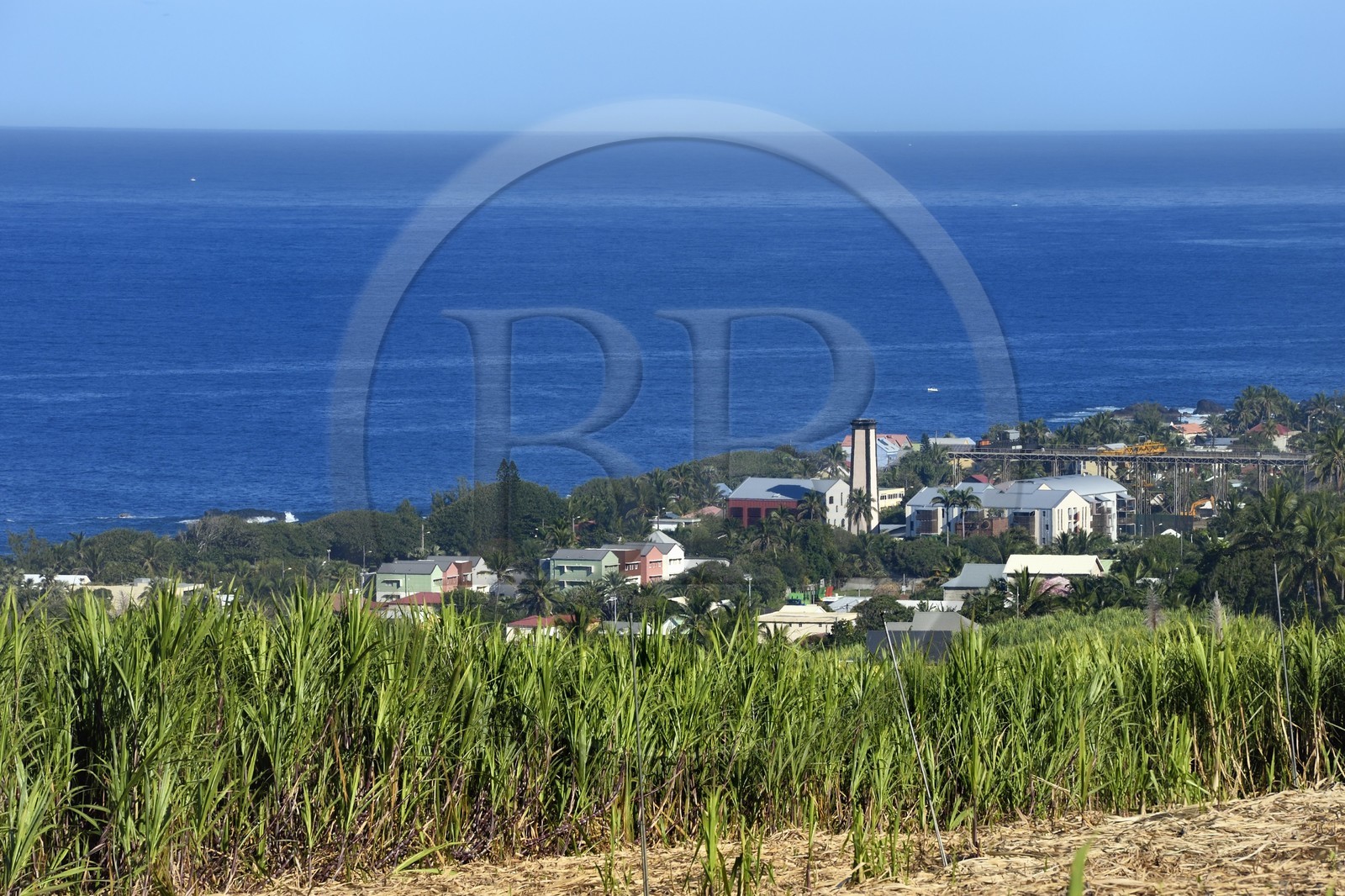 France, Ile de la Reunion, côte sud, Petite-Ile, champ de canne à sucre et Grands-Bois en arrière plan