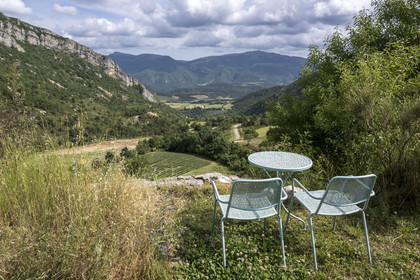 France, Drome, regional natural park of Baronnies provencales, Izon-la-Bruisse valley, location of the Ventoux maquis (3rd section)