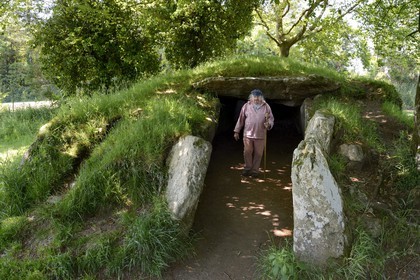 France, Finistere, Parc Naturel Regional d'Armorique (Armorica Regional Natural Park), Monts d'Arree, Brennilis, the story teller Claude Le Lann explains local mythology, energetic phenomenons and telluric power of some places, such as the dolmen here called Ti Ar Boudiged