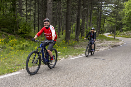 France, Vaucluse, Parc Naturel Regional du Mont Ventoux, Bedoin, bike ascent of Mont Ventoux by the D974 road on the southern slope, the guide Olivier Brunaud (Egobike)