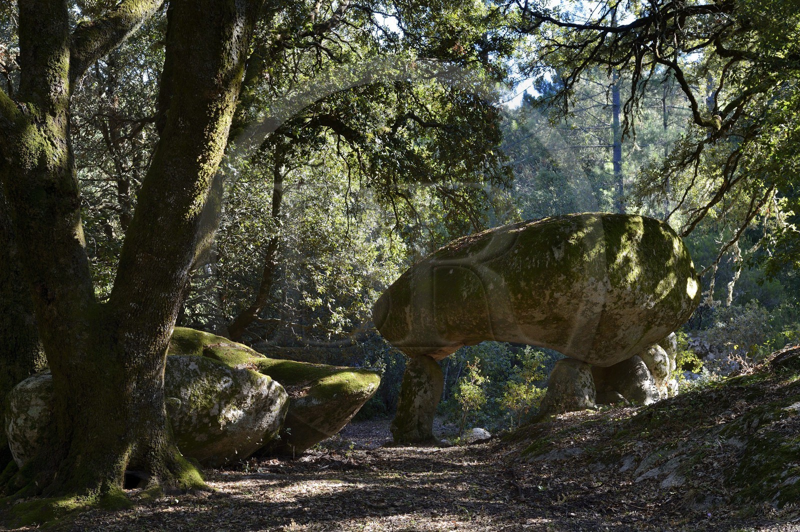 France, Corse-du-Sud (2A), Alta Rocca, chaos de Paccionitoli au sud de Zonza, dolmen France, Corse-du-Sud (2A), Alta Rocca, chaos de Paccionitoli au sud de Zonza, dolmen