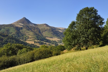 France, Cantal, Parc Naturel Régional des Volcans d'Auvergne (regional nature park of Auvergne volcanoes), Saint Jacques des Blats on the Way of St. James to Santiago de Compostela by Via Arverna, the Puy Griou