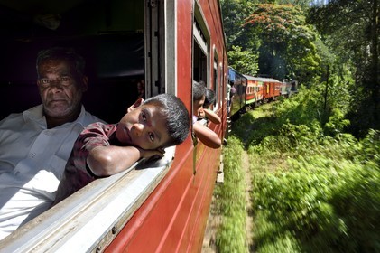 Sri Lanka, Uva Province, the popular scenic train ride through the tea growing hill country between Badulla and Ella