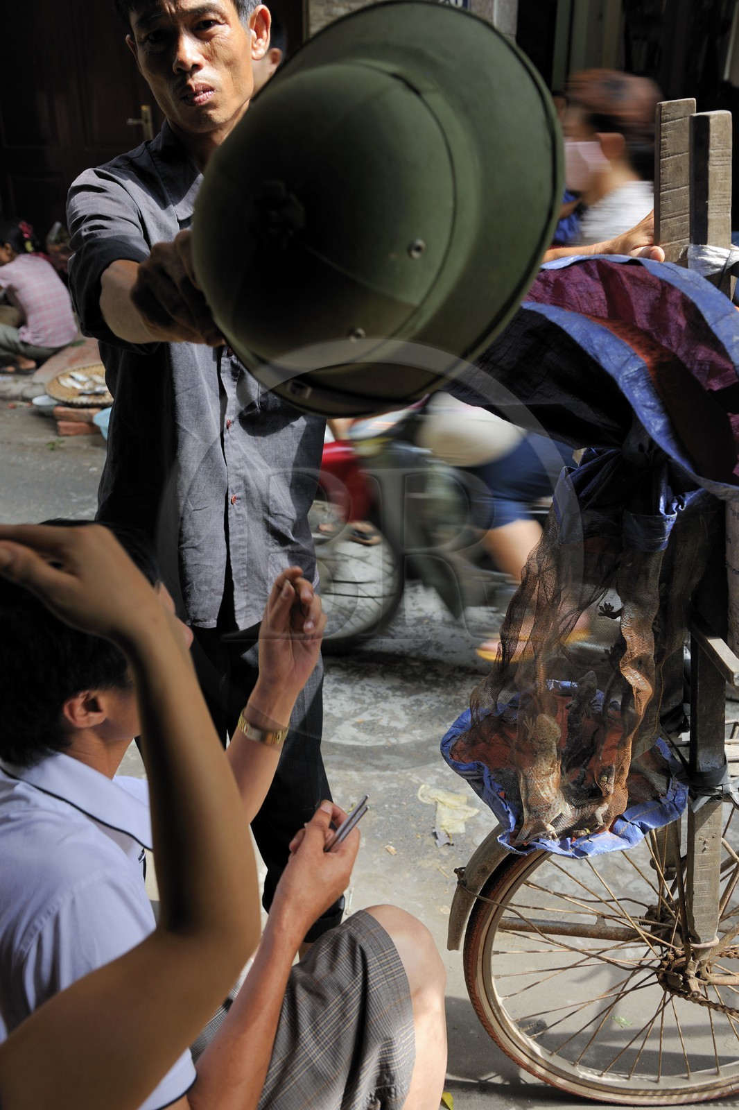 Vietnam, Hanoï, quartier Le Duan dans la vieille ville, vente de lézards