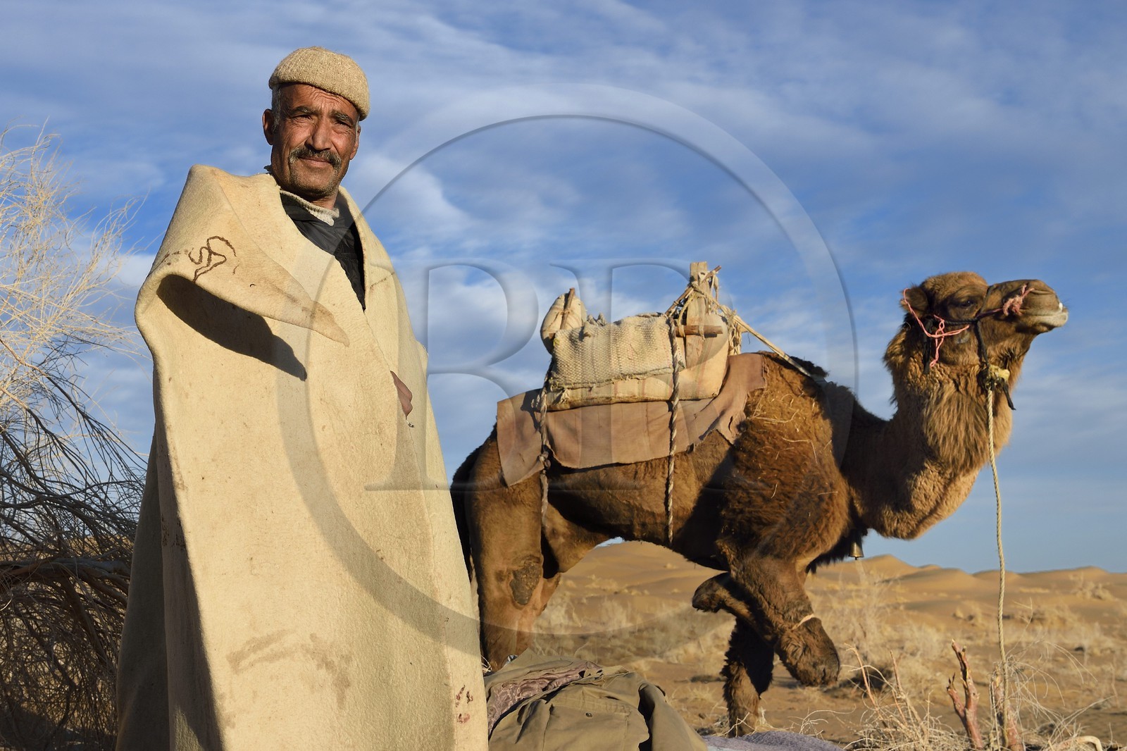 Iran, Province d'Ispahan, désert du Dasht-e Kavir, Mesr dans la région de Khur et Biabanak, le chamelier Ali Saraban portant le feutre en laine de chameau (namad) de son grand-père et un de ses dromadaires au bivouac de Kuh e-Sefid