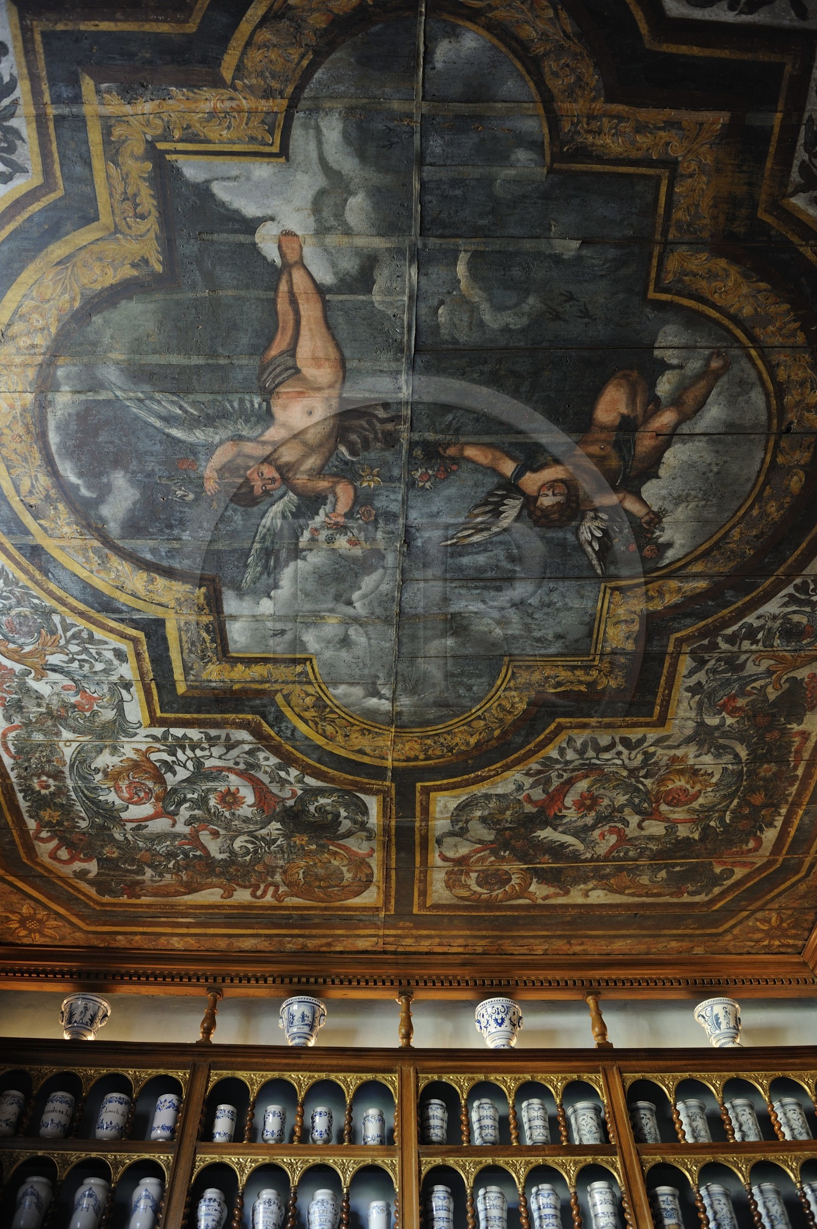 France, Saône et Loire (71), Tournus, l'Hôtel-Dieu, l'apothicairerie