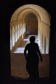 France, Var, the Thoronet cistercian abbey, the east gallery of the cloister