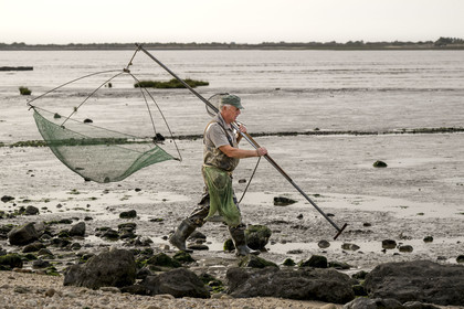 France, Charente-Maritime (17), Port-des-Barques, pêcheur au carrelet