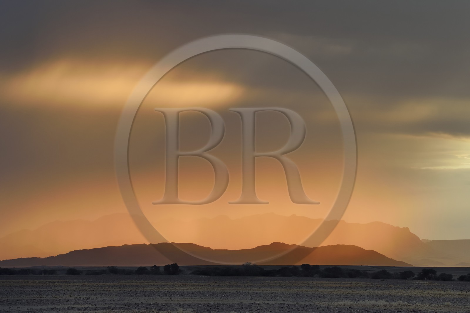 Namibie, région d'Hardap, désert du Namib, parc national du Namib-Naukluft, Erg du Namib classé Patrimoine Mondial de l'UNESCO, Sossusvlei à l'aube