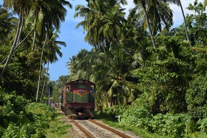 Sri Lanka, Province du Sud, region de Galle, Telwatta, ici un train bondé fut emporté par le Tsunami du 26 décembre 2004 faisant de nombreuses victimes