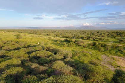 Namibie, Otjiwarongo, le bush autour du Cheetah Conservation Fund (vue a