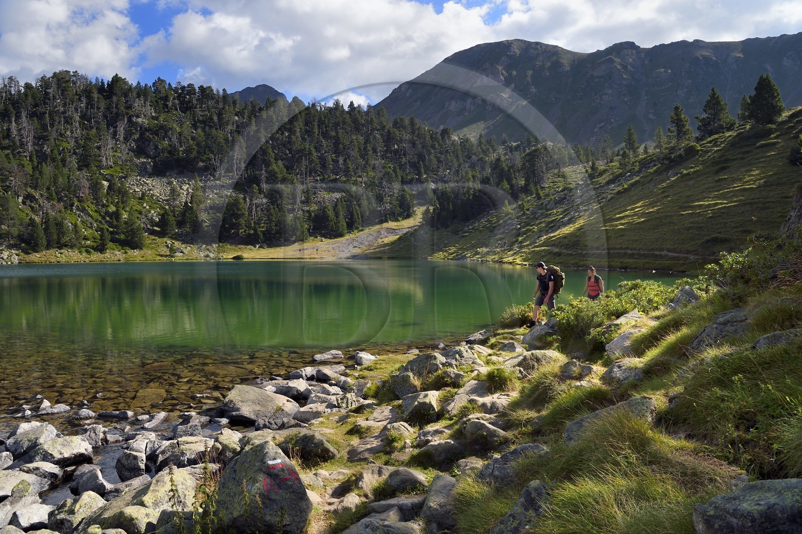 France, Hautes-Pyrénées (65), Saint-Lary-Soulan et Vielle-Aure, randonnée sur une variante du GR10 entre le col de Portet et les lacs de Bastan en bordure de la réserve naturelle de Néouvielle, lac de Bastan inférieur