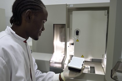 Namibie, Otjiwarongo, Cheetah Conservation Fund, centre de recherche et d'éducation, Life Technologies Conservation Genetics Laboratory, Hafeni se prépare à utiliser l'analyseur génétique