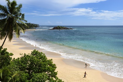 Sri Lanka, Province du Sud, Weligama, plage de Mirissa