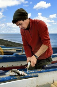 Italie, Sicile, iles Eoliennes, classées Patrimoine Mondial de l'UNESCO, ile de Stromboli, le pecheur Frederico vidant ses poissons sur la plage de Scari