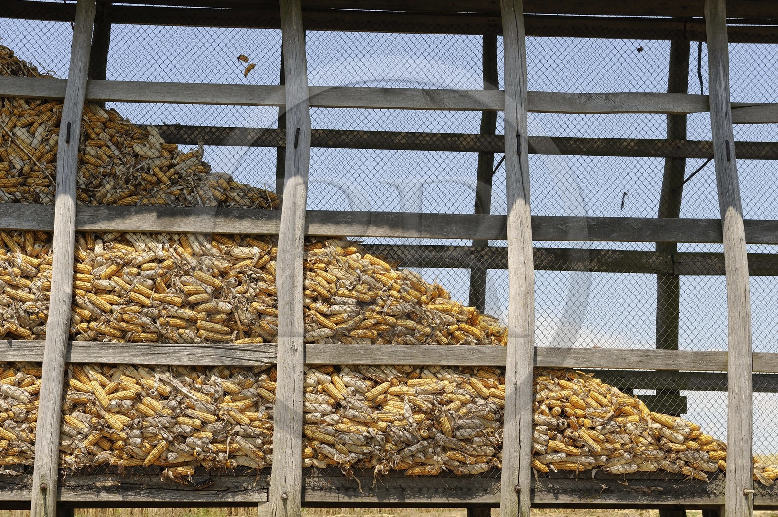 France, Saône et Loire (71), village de Juif, réserve à maïs