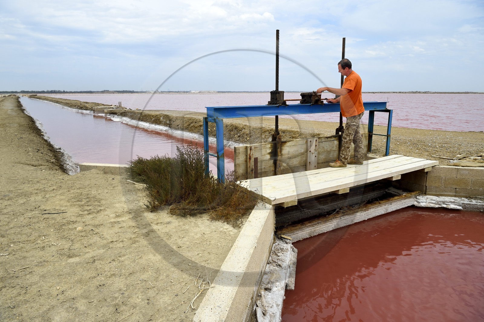 France, Bouches-du-Rhône (13), Camargue, Salin-de-Giraud, les salins du Midi, le saunier aiguadier Pierre Brun controle une marteliere, vanne pour l'irrigation de marais salants France, Bouches-du-Rhône (13), Camargue, Salin-de-Giraud, les salins du Midi, le saunier aiguadier Pierre Brun controle une marteliere, vanne pour l'irrigation de marais salants