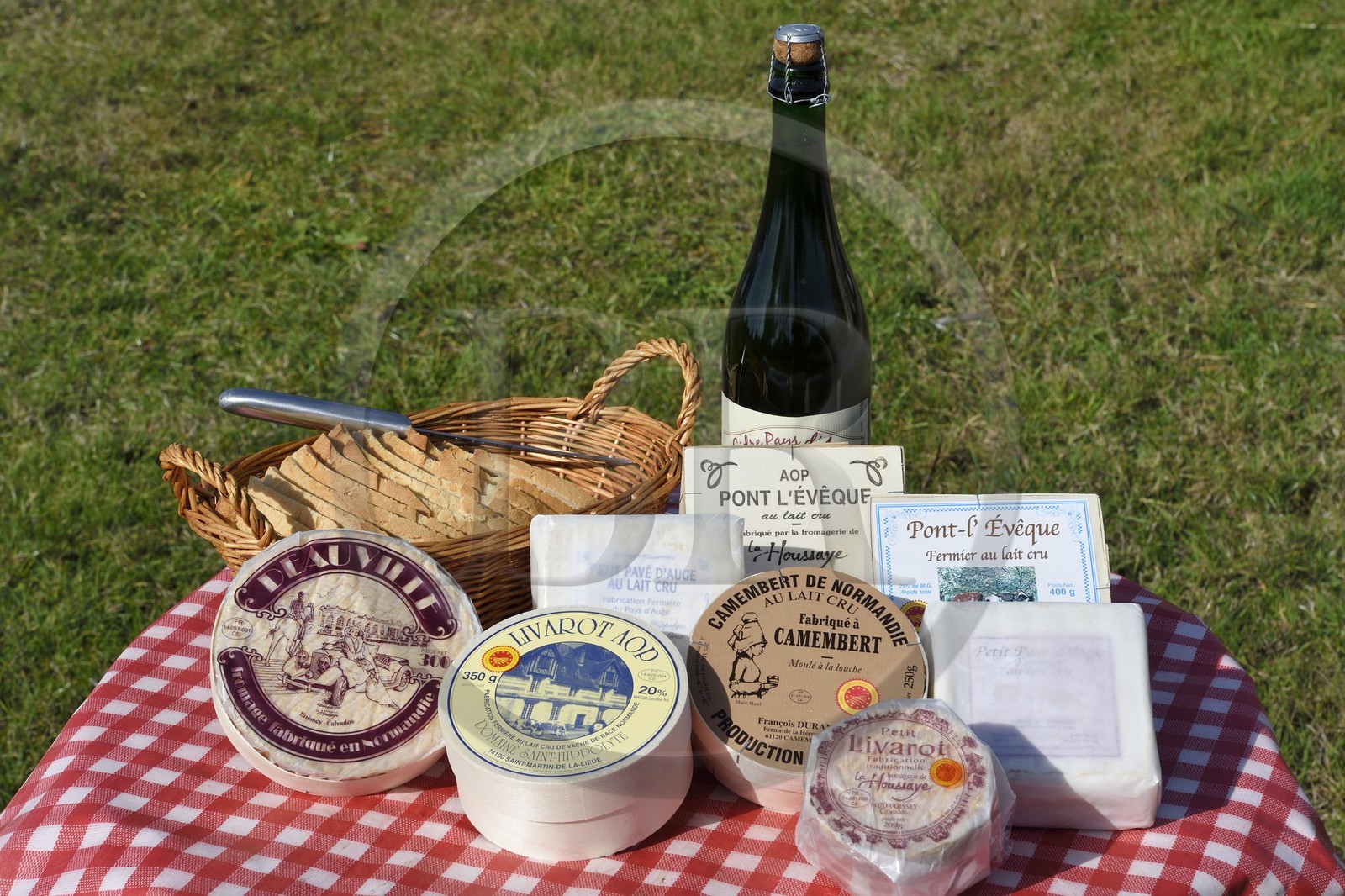 France, Orne, village of Camembert, unpasteurized milk farm-made cheese from Pays d'Auge France, Orne, village of Camembert, unpasteurized milk farm-made cheese from Pays d'Auge