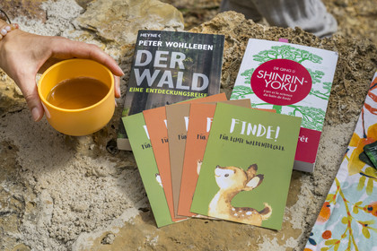France, Var, Provence Verte (Green Provence), Bras, Academie du Bain de Foret Provencale (Academy of Forest Bathing in Provence), forest of the domaine Le Peyrourier - une campagne en Provence, Constanze Coisne guides Shinrin Yoku