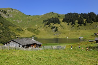 Switzerland, Canton of Vaud, Villars sur Ollon, hamlet of Bretaye