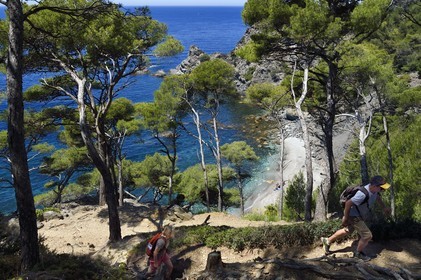 France, Var, Six Fours les Plages, hike in the Cap Sicie massif, Mont Salva beach towards Le Brusc