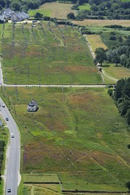 France, Morbihan, Carnac, row of megalithic standing stones at Menec (aerial view)