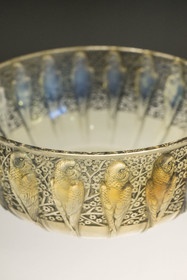 France, Bas-Rhin, Wingen-sur-Moder, Lalique museum, Parakeet cup in molded pressed opalescent glass with green patina created by René Lalique in 1931