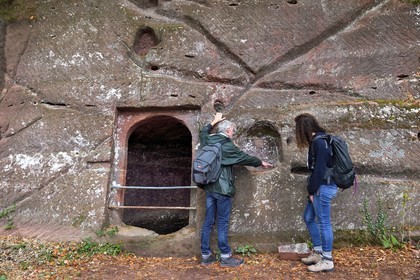 France, Bas Rhin, Northern Vosges Regional Natural Park, Niedersteinbach, Steinbach national forest, Wasigenstein Castle ruins, Mathias Heissler, heritage architect at the county council of Bas-Rhin, shows on the wall pipes that are cut to collect water and bring it to a cistern