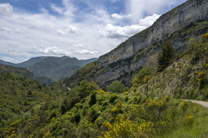 France, Drome, regional natural park of Baronnies provencales, Villeperdrix, the D570 small departmental road above the Flodinche valley at col de la Pertie