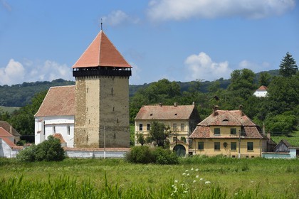 Roumanie, Transylvanie, région de Sighisoara, église fortifiée de Netus