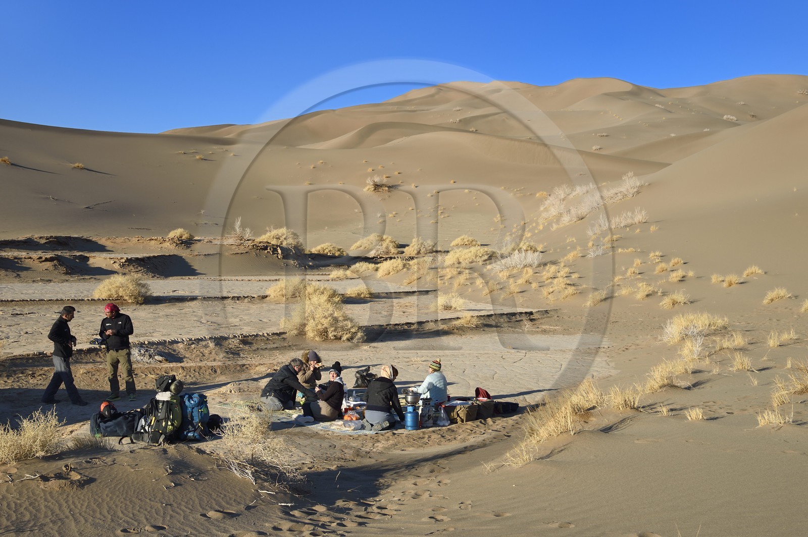 Iran, Yazd province, Dasht-e Kavir desert, Moghestan, dune system whose highest dune reaches 200 meters, bivouac