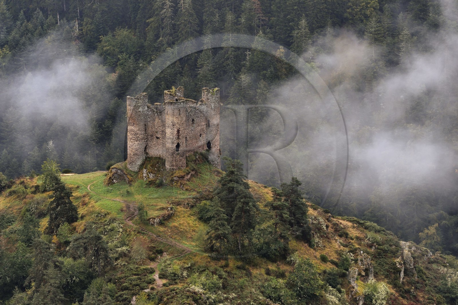 France, Cantal, Gorges de la Truyere (Truyere river canyon), Alleuze, perched feudal ruins of the 13th century castle of Alleuze rebuilt in 1405