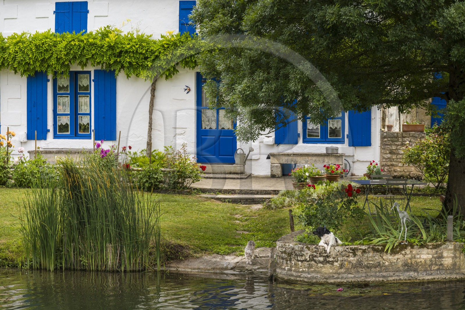 France, Deux-Sèvres (79), le Marais Poitevin, la Venise Verte, Coulon, maison du marais typique au bord de la Sèvre Niortaise