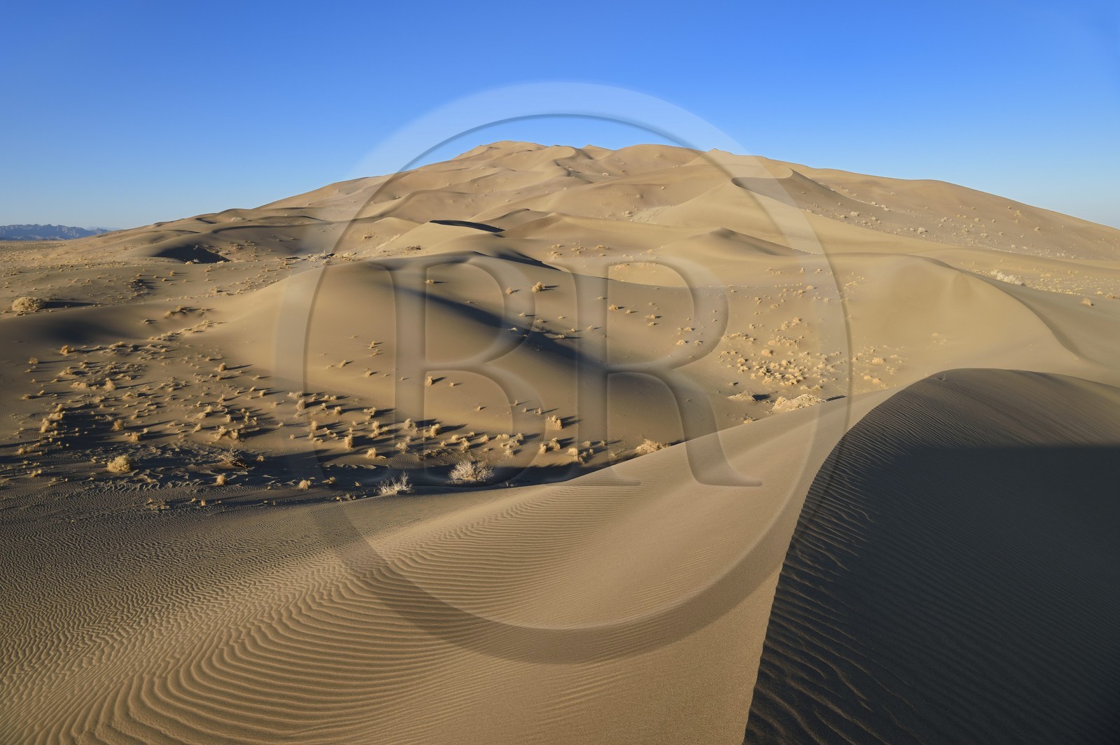Iran, Province de Yazd, désert du Dasht-e Kavir, Moghestan, massif dunaire dont la plus haute dune atteint les 200 mètres