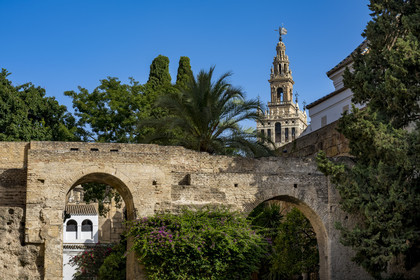 Espagne, Andalousie, Séville, Alcazar de Séville (Reales Alcazares de Sevilla), classé Patrimoine Mondial de l'UNESCO, et la Giralda en arrière plan