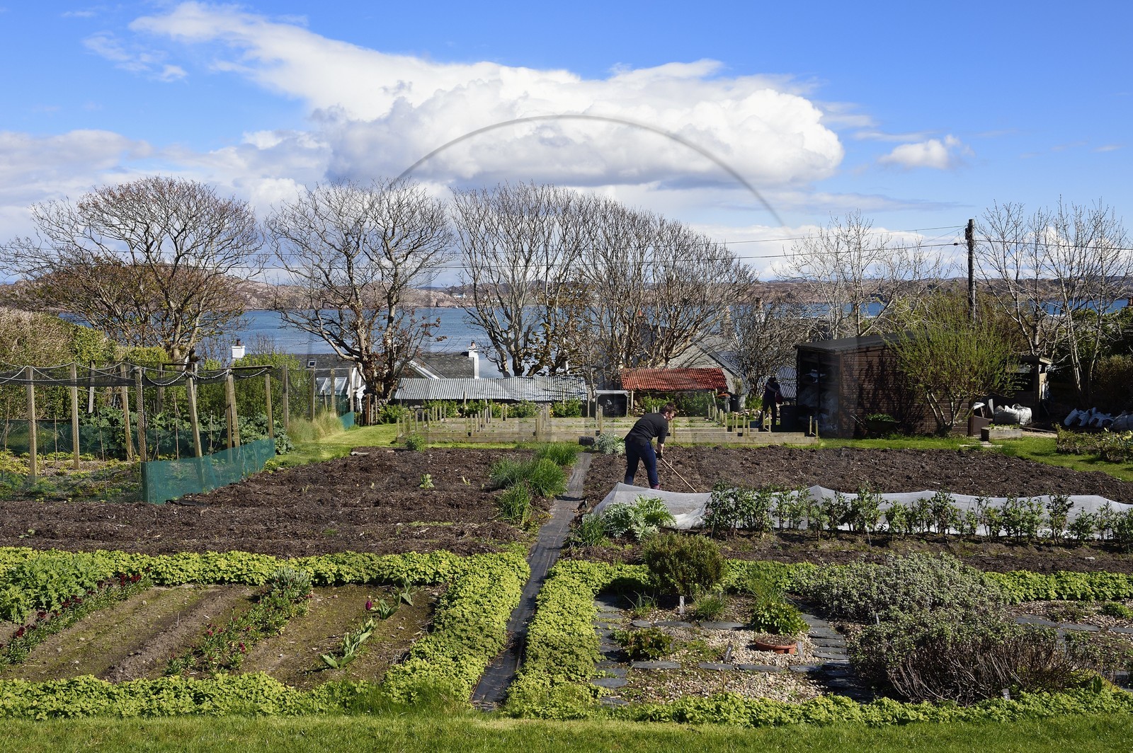 Royaume-Uni, Ecosse, Highland, Hébrides intérieures, Ile de Iona face à l'Ile de Mull, le potager biologique de l'Argyll Hotel au premier plan