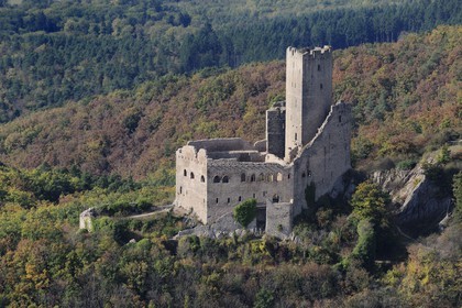 France, Bas Rhin, Ortenbourg Castle in the Vosges forest (aerial view)