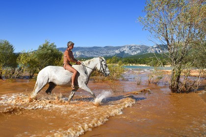 France, Var (83), Parc Naturel Régional du Verdon, lac de Sainte Croix, randonnée équestre avec Verdon Equitation