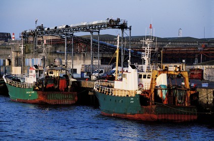 France, Morbihan, Lorient, fishing harbour (Keroman)