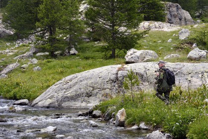 France, Alpes-Maritimes, parc national du Mercantour (Mercantour National Park), Valmasque valley, fly fishing
