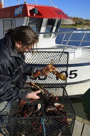 Sweden, Västra Götaland, Koster Islands, Sydkoster, Ekenäs port, returning from lobster fishing