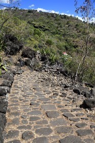 France, Ile de la Reunion, La Possession, le chemin Crémont aussi appelé chemin des Anglais, ancienne route pavé de basalte depuis 1775 qui longe le bord de la falaise de la cote nord-ouest devenu sentier de randonnée