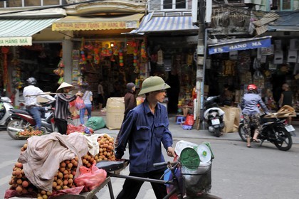 Vietnam, Hanoï, quartier des 36 rues dans la vieille ville, transport de lychee