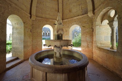 France, Var, the Thoronet cistercian abbey, the cloister fountain