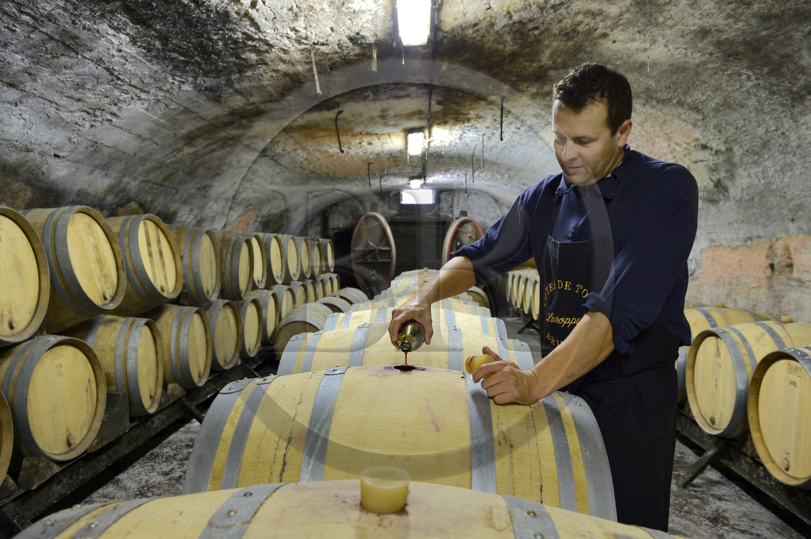 France, Meurthe-et-Moselle (54), Bruley, tonneaux de vin des Côtes de Toul dans les caves du domaine Laroppe, Vincent Laroppe