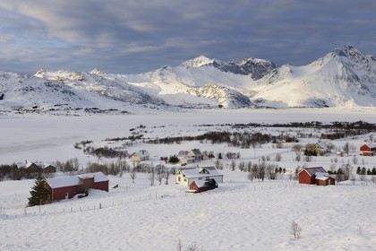 Norway, Nordland County, Lofoten Islands, farms in Vestvagoy Island in Winter